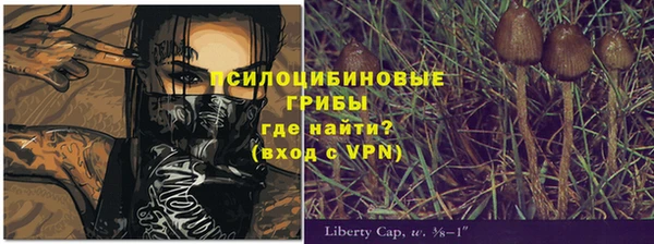 дурь Абаза