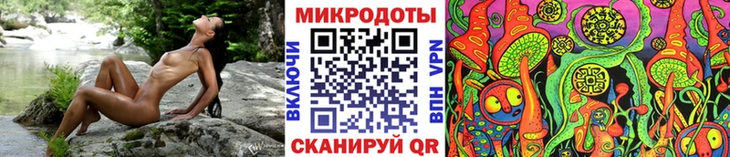 Псилоцибиновые грибы GOLDEN TEACHER  блэк спрут онион  Ростов-на-Дону 